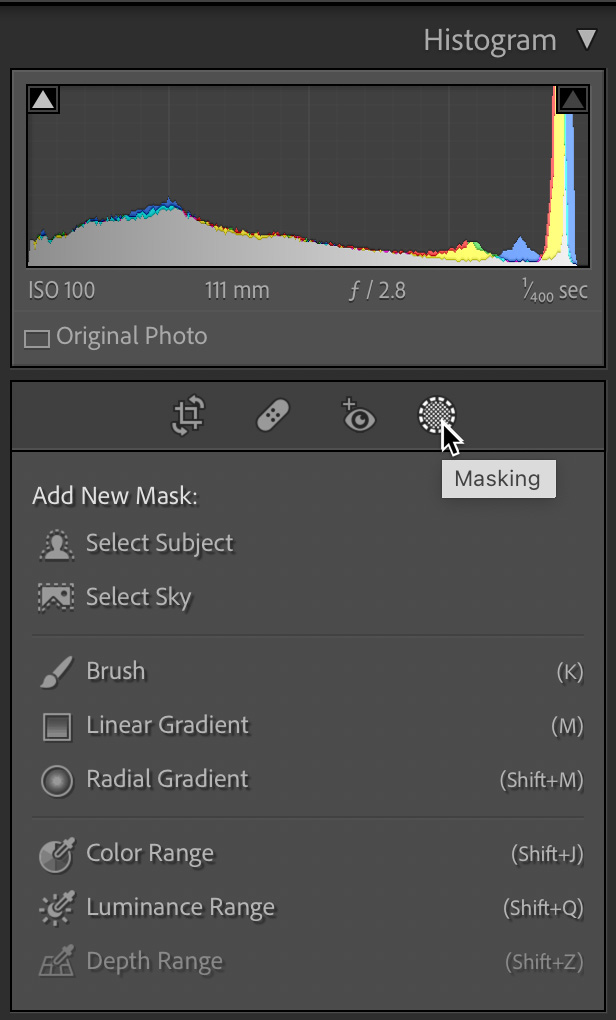 camera raw adjustment brush camera raw adjustment brush